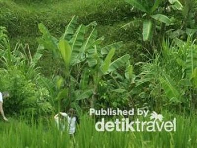 Bali, Surganya Tempat Liburan