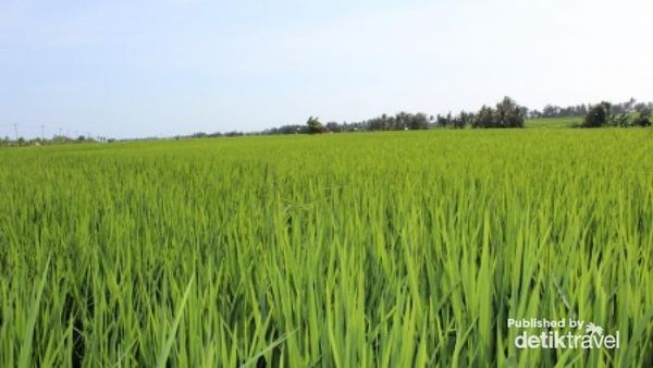 Bali yang Selalu Dirindukan