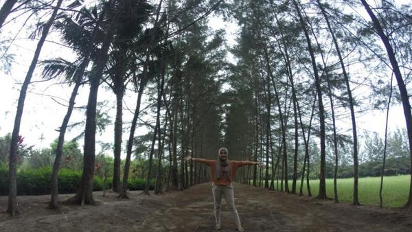 Bangka Botanical Garden, Oase di Pulau Bangka