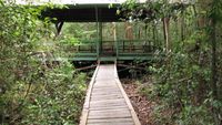 Baning, Wisata Hutan Primer di Tengah Kota