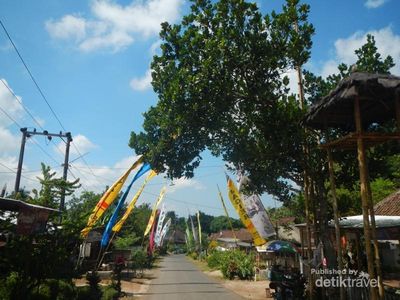Banyuwangi Punya Air Terjun Kembar Tiga!
