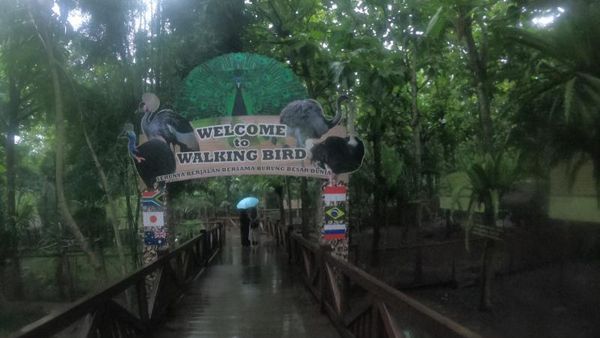 Batu Punya Burung Paling Langka Kedua Sedunia