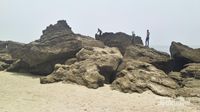 Bawah Laut di Donggala, Tak Kalah Cantik dengan Pantainya!
