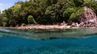 Bawah Laut Filonga Nan Berwarna