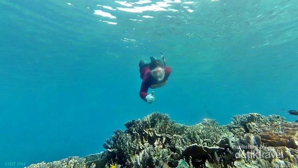 Bawah Laut Halmahera Selatan, Mantap Jiwa!