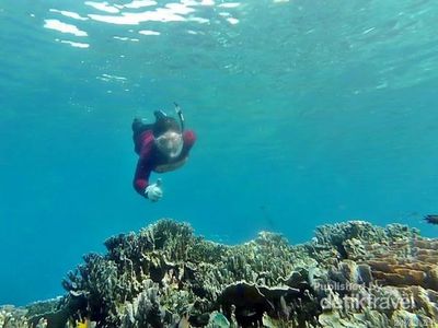 Bawah Laut Halmahera Selatan, Mantap Jiwa!