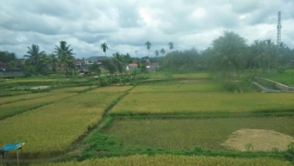 Begini Cantiknya Alam Antara Cipeundeuy-Banjar