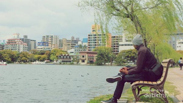 Begini Cantiknya Sakura di Jepang