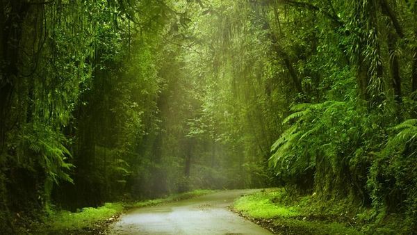 Begini Indahnya Alam Lombok dan Sumbawa