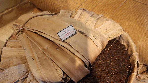 Begini Isi Markas Besar Pabrik Rokok Sampoerna