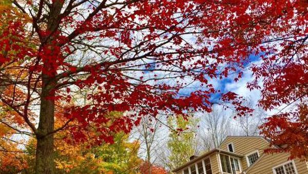Begitu Cantik Saat Musim Gugur Tiba di Quebec, Kanada