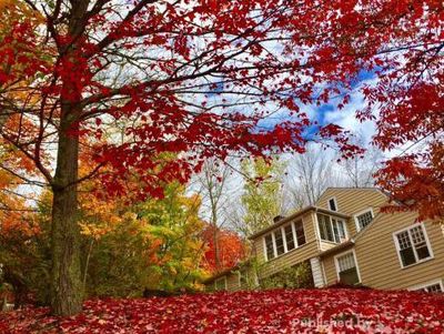 Begitu Cantik Saat Musim Gugur Tiba di Quebec, Kanada