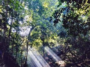 Begitu Eksotis, Ini Sungai Pampang Samarinda