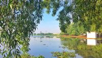 Bekasi Punya Danau Seindah Ini