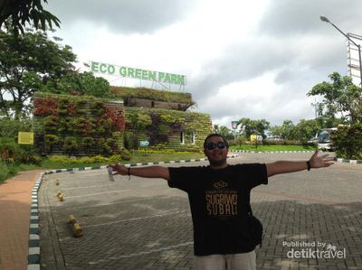 Belajar Cinta Alam di Eco Green Park, Batu