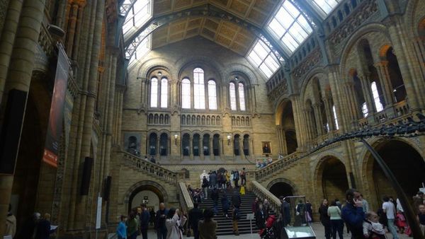 Belajar Sekaligus Mengagumi National History Museum London