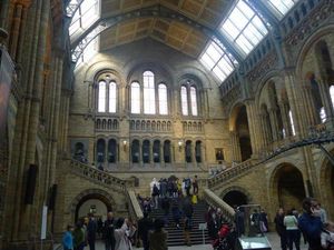 Belajar Sekaligus Mengagumi National History Museum London