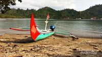 Berani Lihat Gigi Hiu di Teluk Kiluan?