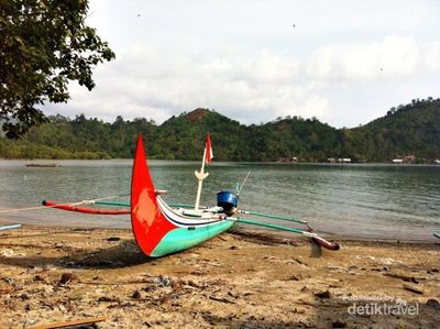 Berani Lihat Gigi Hiu di Teluk Kiluan?