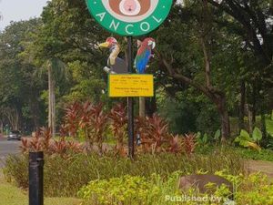 Berkeliling Melihat Satwa Lucu juga Unik di Ancol