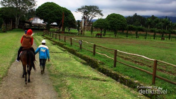 Berkuda Ala Koboi di De Ranch