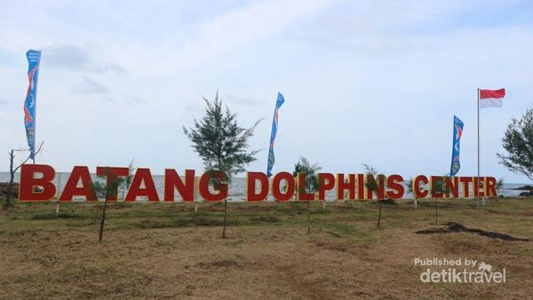Bermain Bersama Lumba-lumba di Batang, Ini Tempatnya