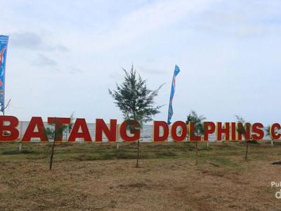 Bermain Bersama Lumba-lumba di Batang, Ini Tempatnya