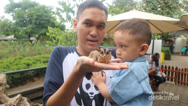 Bermain dengan Hewan Imut di Farmhouse