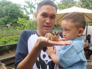 Bermain dengan Hewan Imut di Farmhouse