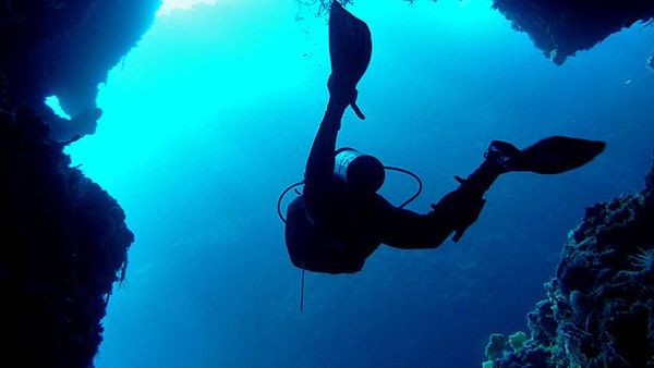 Bersahabat Dengan Keremangan Bawah Laut: Uji Nyali Anda di Kepulauan Padaido