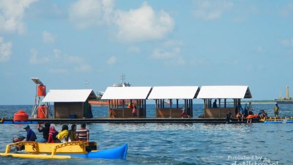 Bertemu Hiu di Rumah Apung Bansring, Banyuwangi