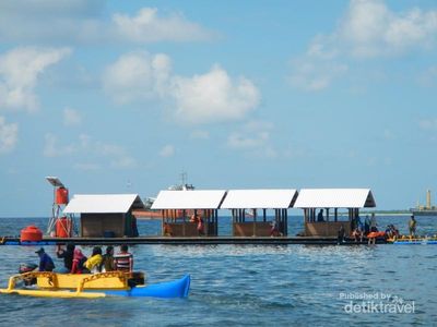 Bertemu Hiu di Rumah Apung Bansring, Banyuwangi
