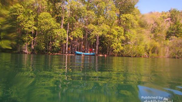 Bertemu Ubur-ubur Jinak di Sulteng