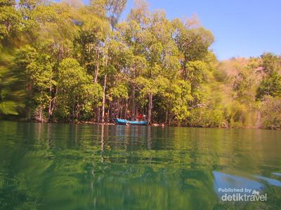 Bertemu Ubur-ubur Jinak di Sulteng