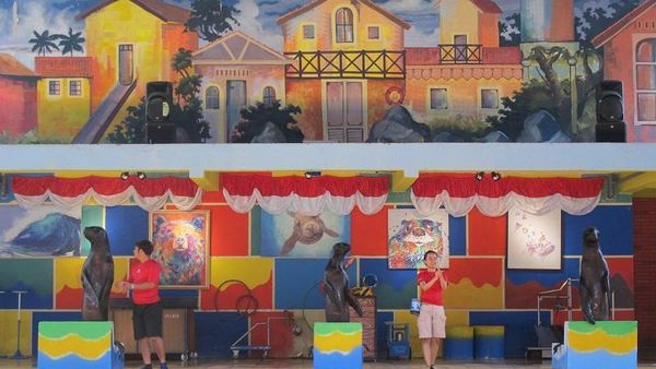 Bikin Gemas, Ini Aksi Singa Laut Di Ocean Dream Samudera