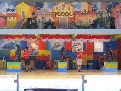 Bikin Gemas, Ini Aksi Singa Laut Di Ocean Dream Samudera