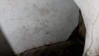Blusukan ke Stasiun Tanjung Priok, Ada Ruang Bawah Tanah Rahasia!