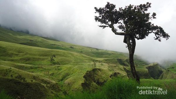 Bonus Keindahan Buat Pendaki Rinjani