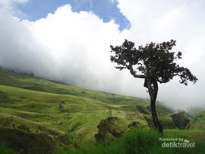 Bonus Keindahan Buat Pendaki Rinjani
