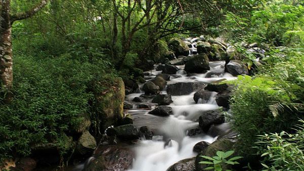 Brrr... Sejuk dan Dinginnya Air Sungai Cibereum