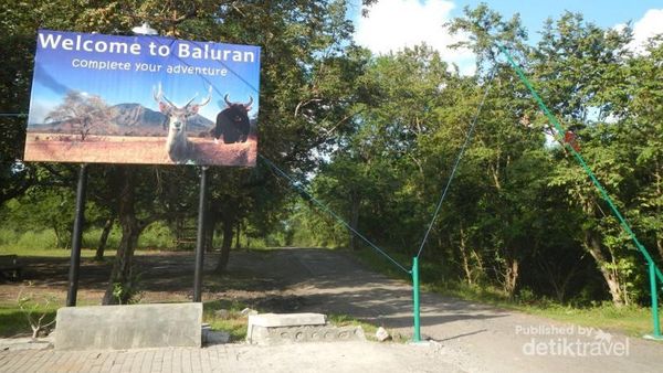 Bukan di Afrika, Ini Taman Nasional Baluran di Jawa Timur