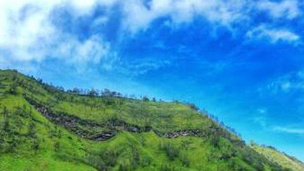 Bukan di New Zealand, Ini di Bromo
