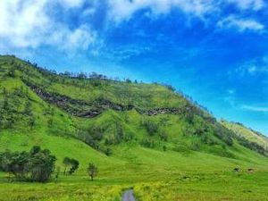 Bukan di New Zealand, Ini di Bromo