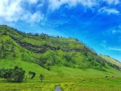 Bukan di New Zealand, Ini di Bromo
