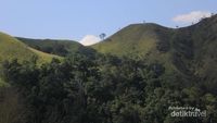 Bukan di Selandia Baru, Ini di Aceh