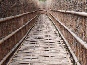 Bukan Jepang, Ini Cuma Kota Kembang