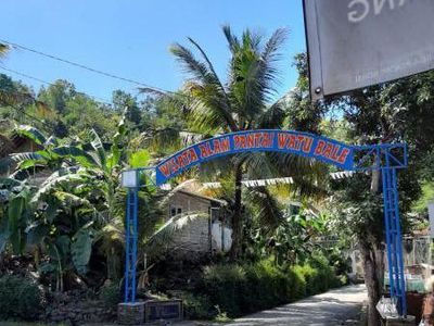 Bukit Jerit yang Damai Hanya Ada di Kebumen