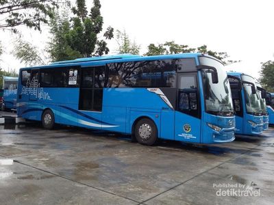Bus Trans Koetaradja, Transportasi Baru Traveler di Banda Aceh