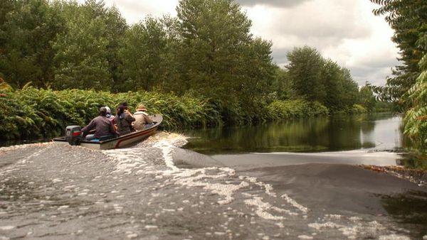 Cagar Biosfer Giam Siak Kecil, Bukit Batu, Riau