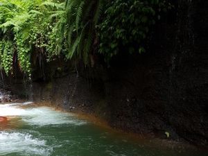 Cantik dan Masih Asri dari Curug Tertinggi di Bogor